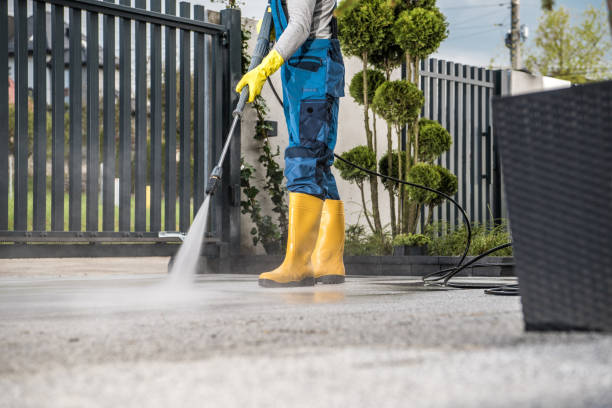 Best Affordable Power Washing  in Oakwood, IL