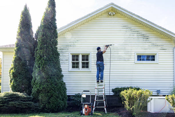 Best Power Washing Near Me  in Oakwood, IL