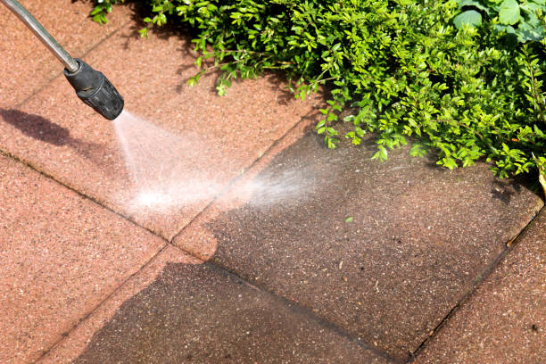 Local Pressure Washing Services in Oakwood, IL